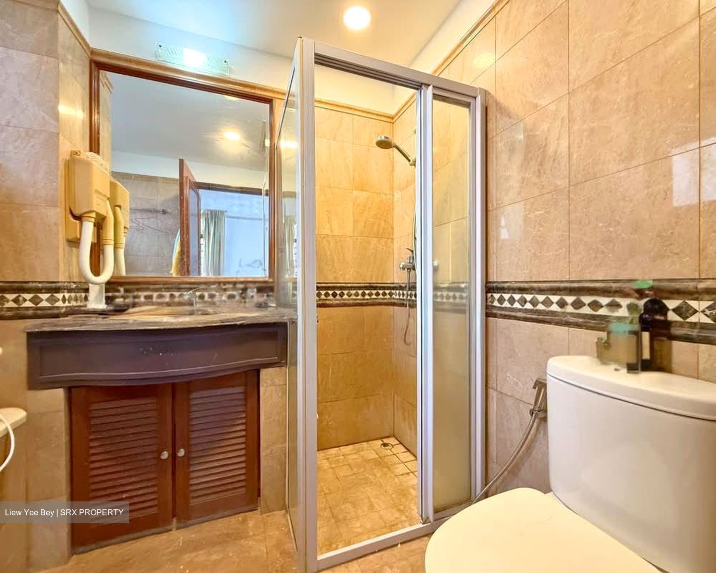 Dover Parkview (D5), Condominium #579507921